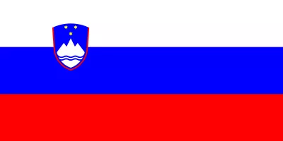 Slovenian Network Logo