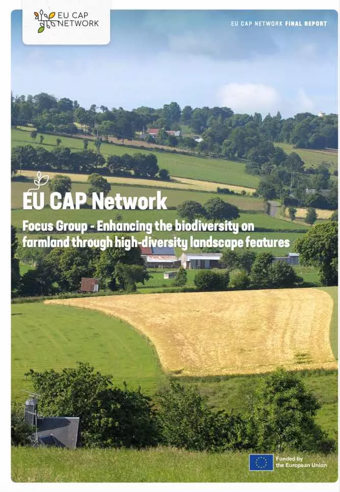Cover - Report - EU CAP Network Focus Group Enhancing the biodiversity on farmland through high-diversity landscape features