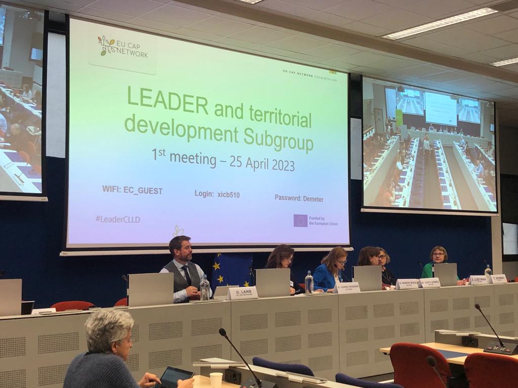 LEADER and territorial development Subgroup - meeting | European CAP Network