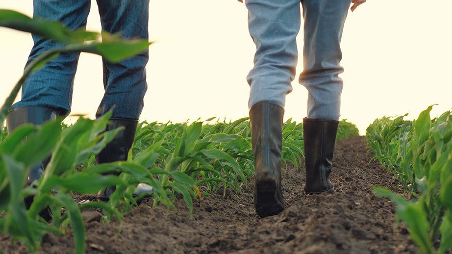 Two farmers in boots walking in a field