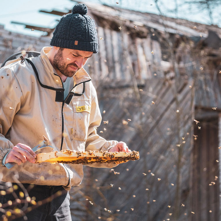 Beekeeper working at beehives