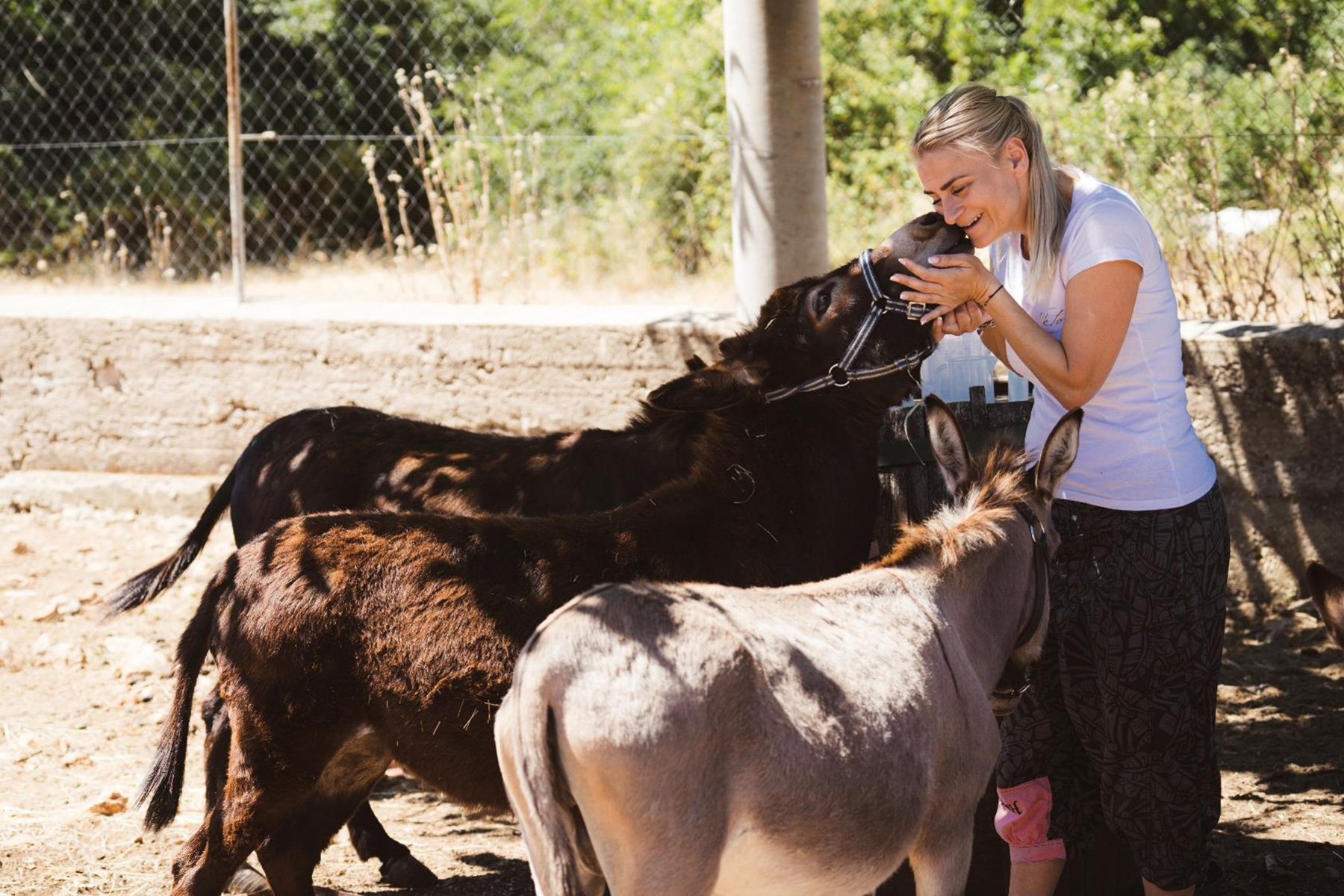 Farmer with donkeys in family farm