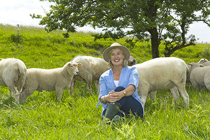 Female project promoter outdoor in a field with sheep