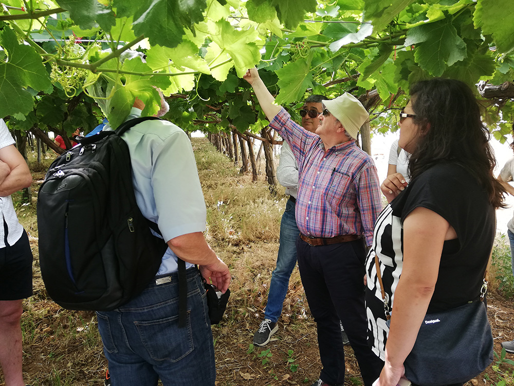 Focus group members in the field