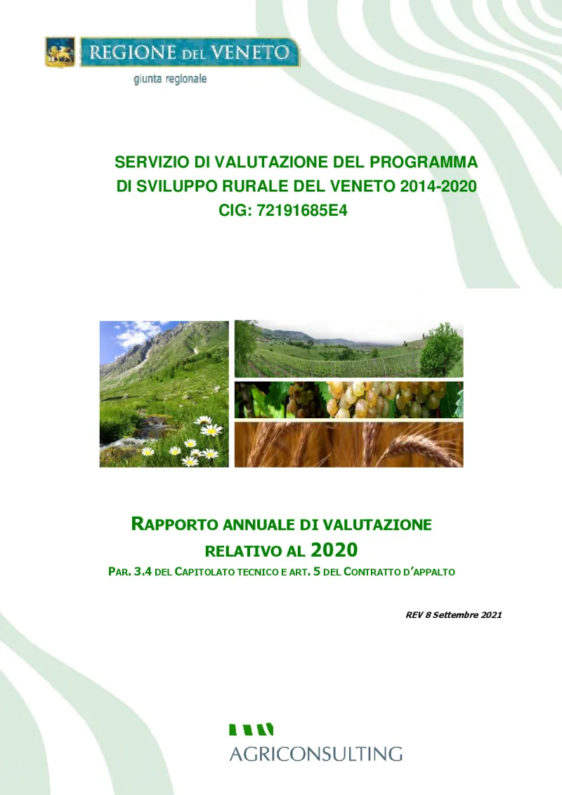 RAPPORTO ANNUALE DI VALUTAZIONE RELATIVO AL 2020