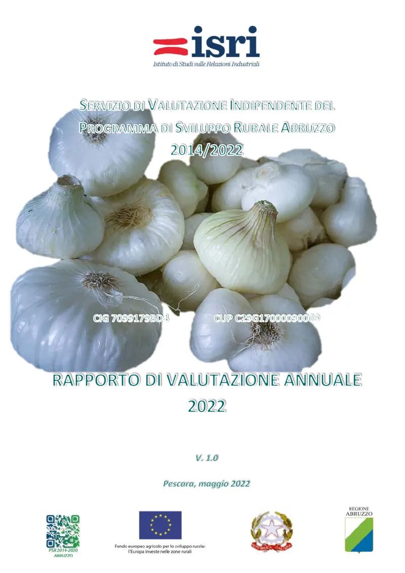 Annual Evaluation Report 2022 4o mini