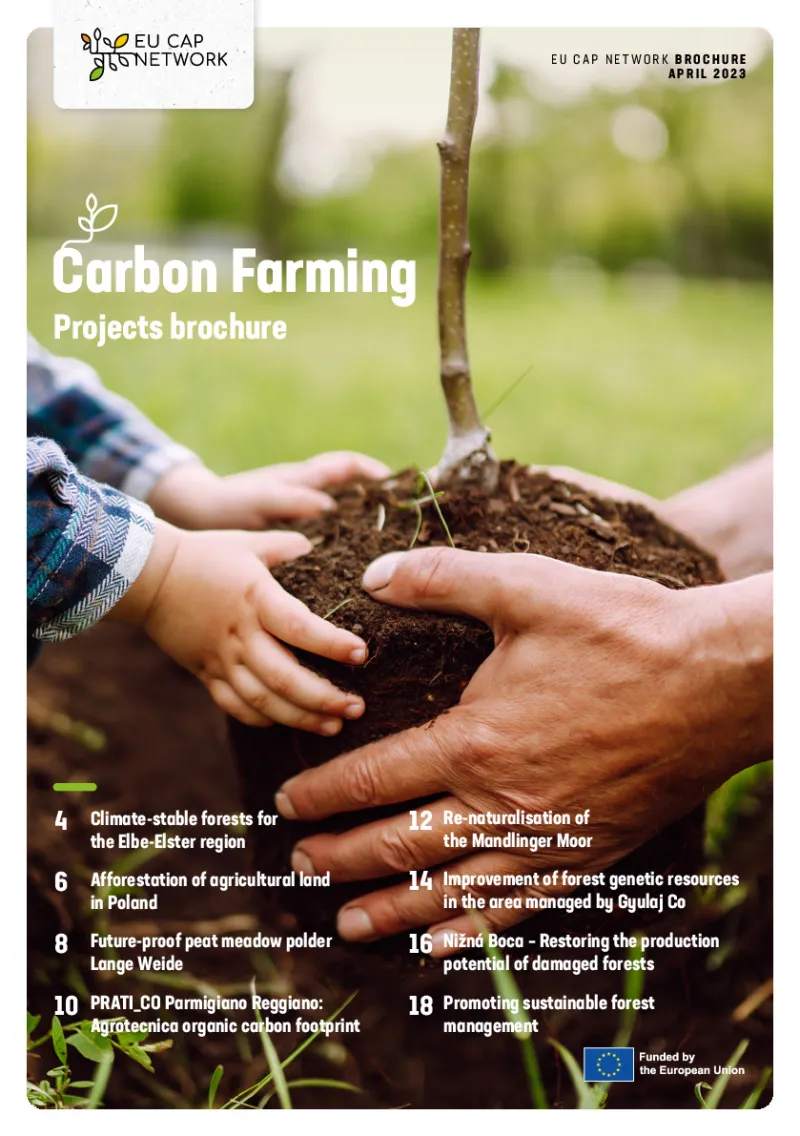 Carbon Farming Projects Brochure