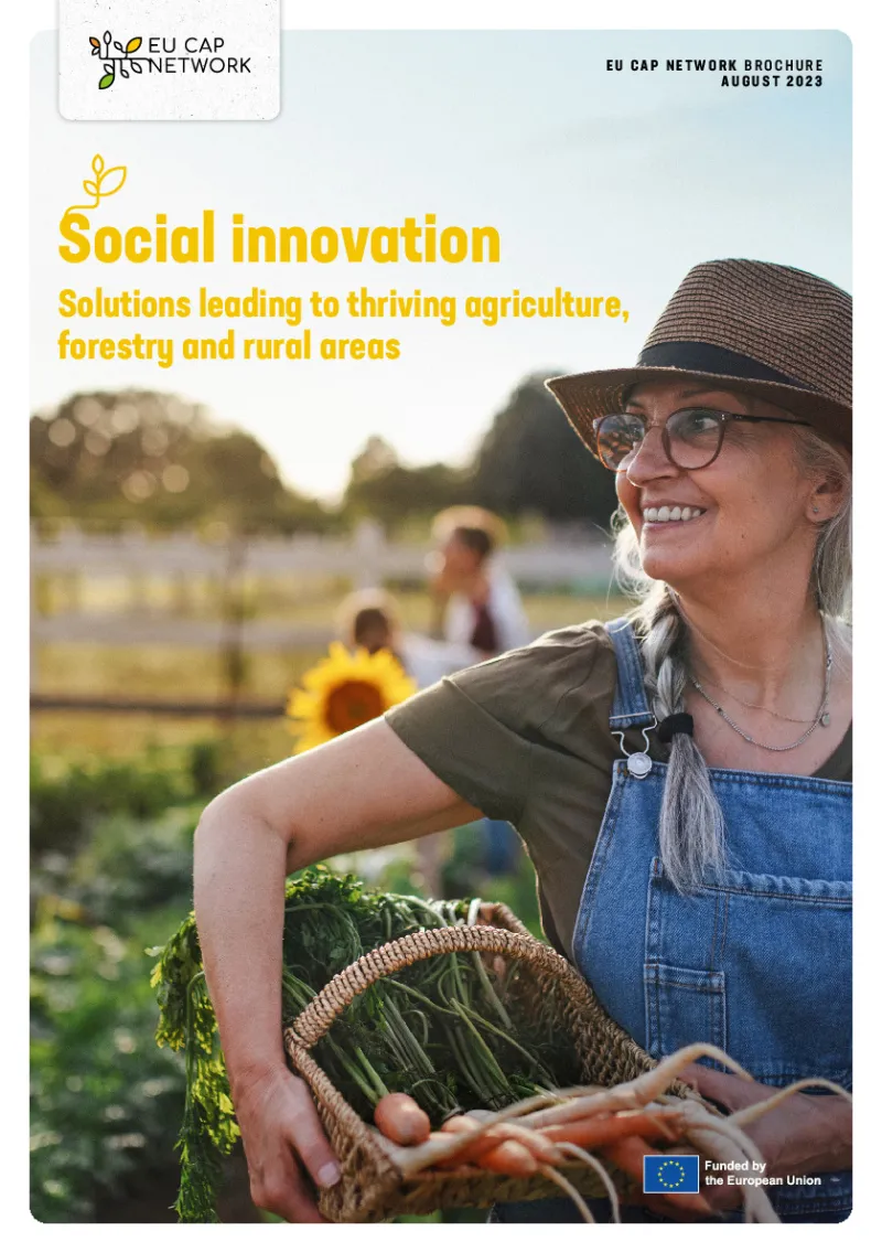 EU CAP Network Brochure: Social Innovation