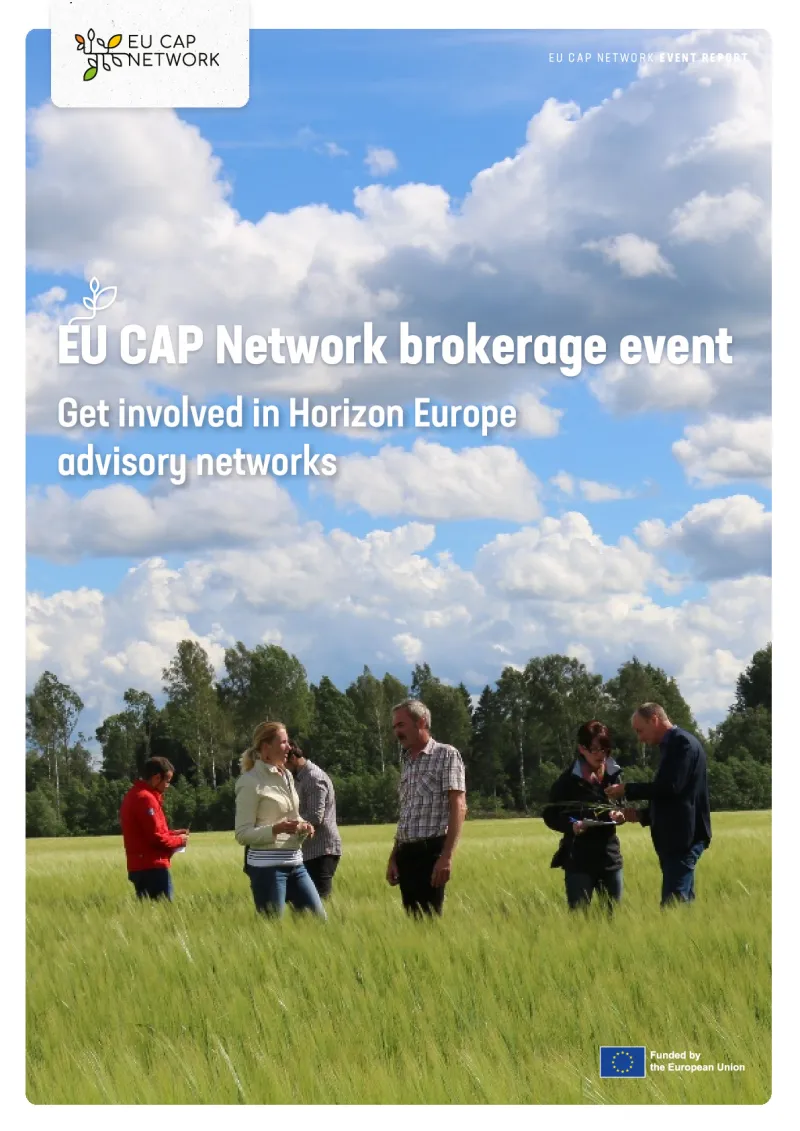 Brokerage Event-Get involved in Horizon Europe advisory networks-Final Report