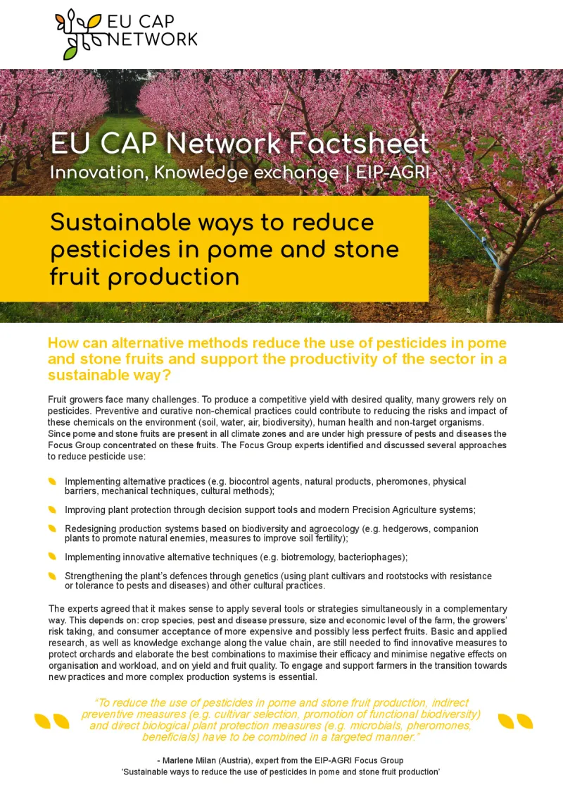 Sustainable ways to reduce pesticides in pome and stone fruit production