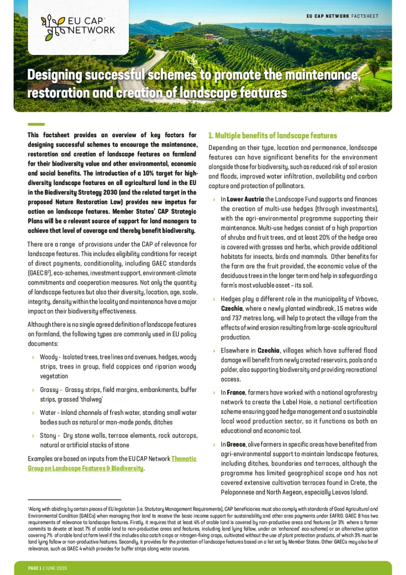 Factsheet - Designing successful schemes to promote the maintenance, restoration and creation of landscape features