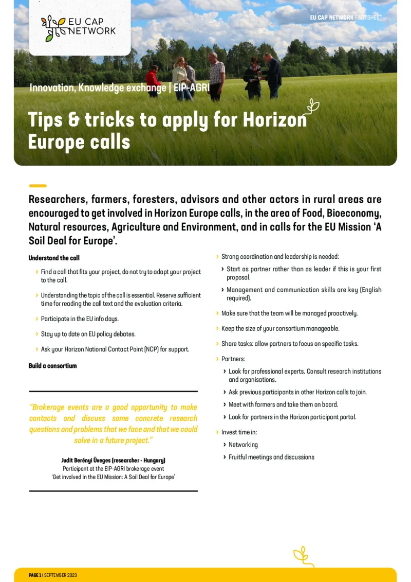 EU CAP Network Factsheet - Tips & tricks to apply for Horizon Europe calls