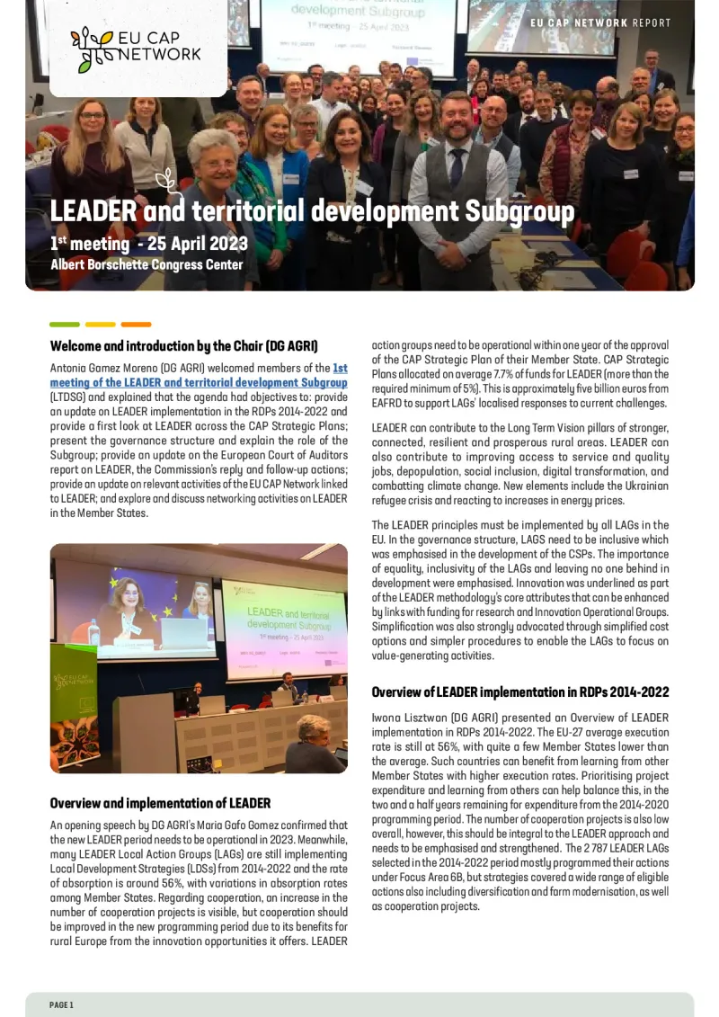 Report - 1st meeting of the LEADER and territorial development Subgroup