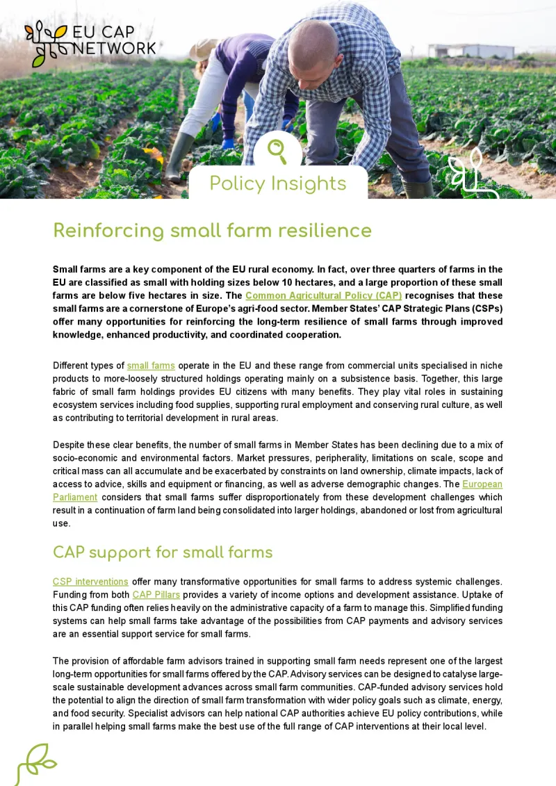 Policy Insights - Reinforcing small farm resilience