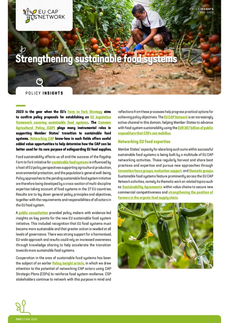 Policy Insights - Strengthening sustainable food systems