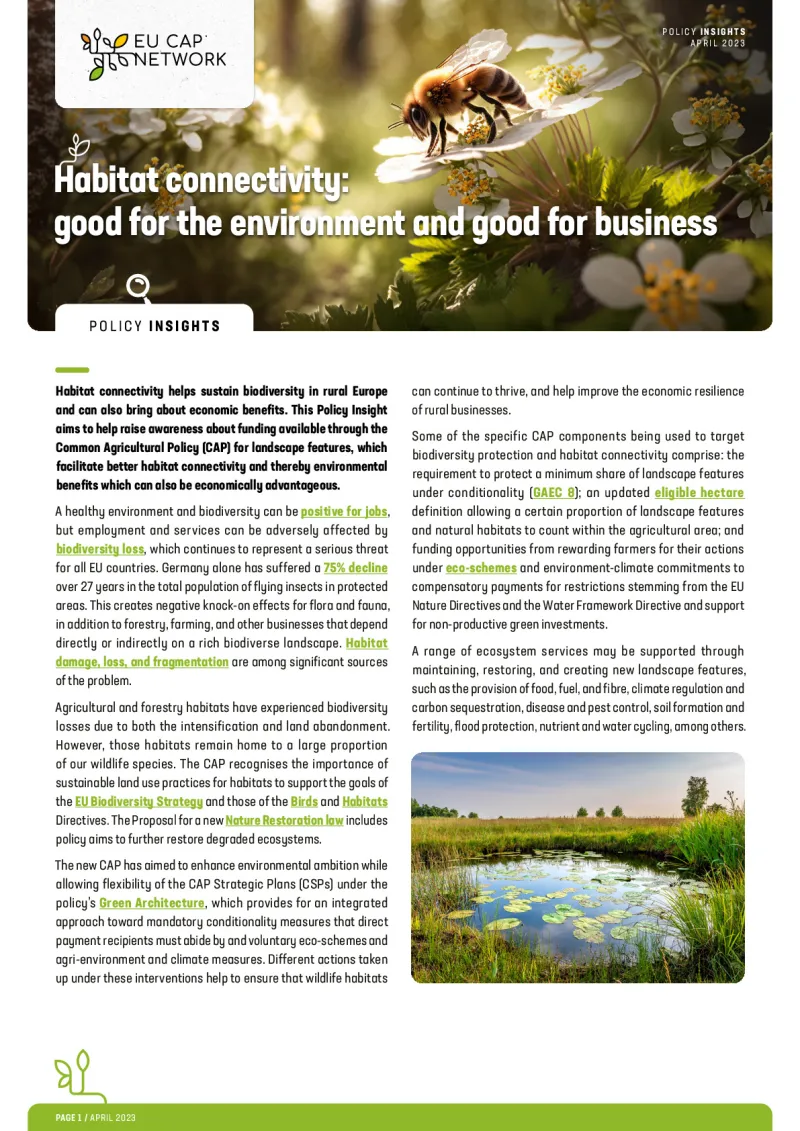 Policy Insights - Habitat connectivity: good for the environment and good for business