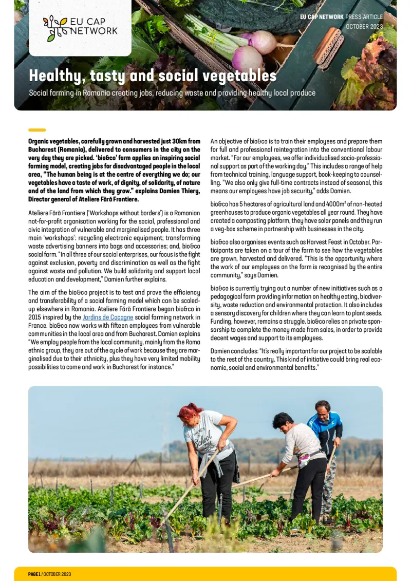 Press Article - Healthy, tasty and social vegetables