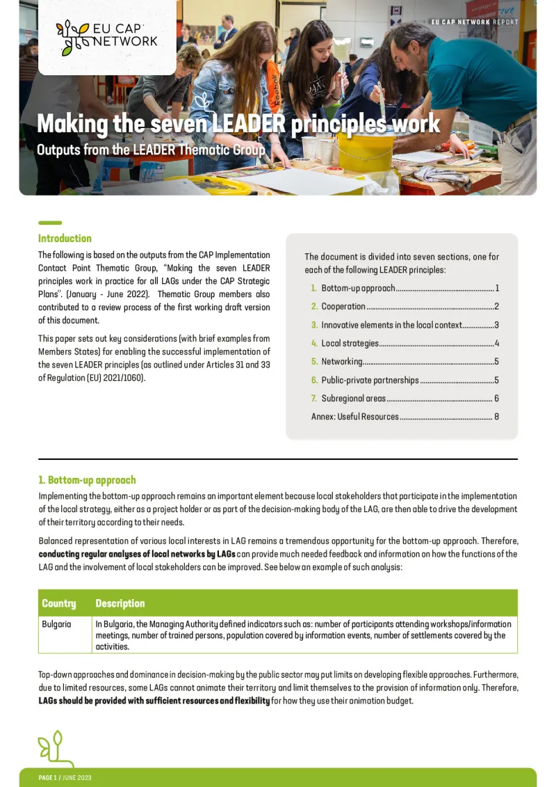 Making the seven LEADER principles work