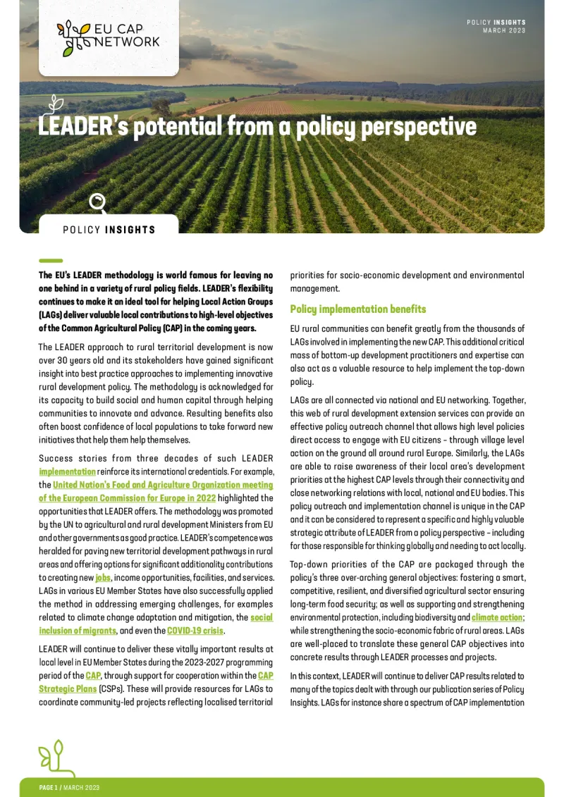 Policy Insights - LEADER's potential from a policy perspective