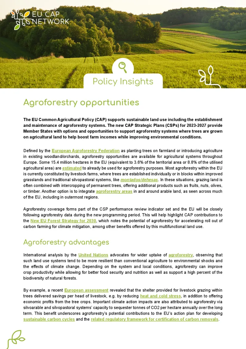 Policy Insights - Agroforestry opportunities