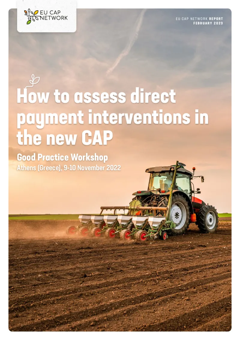 How to assess direct payment interventions in the new CAP