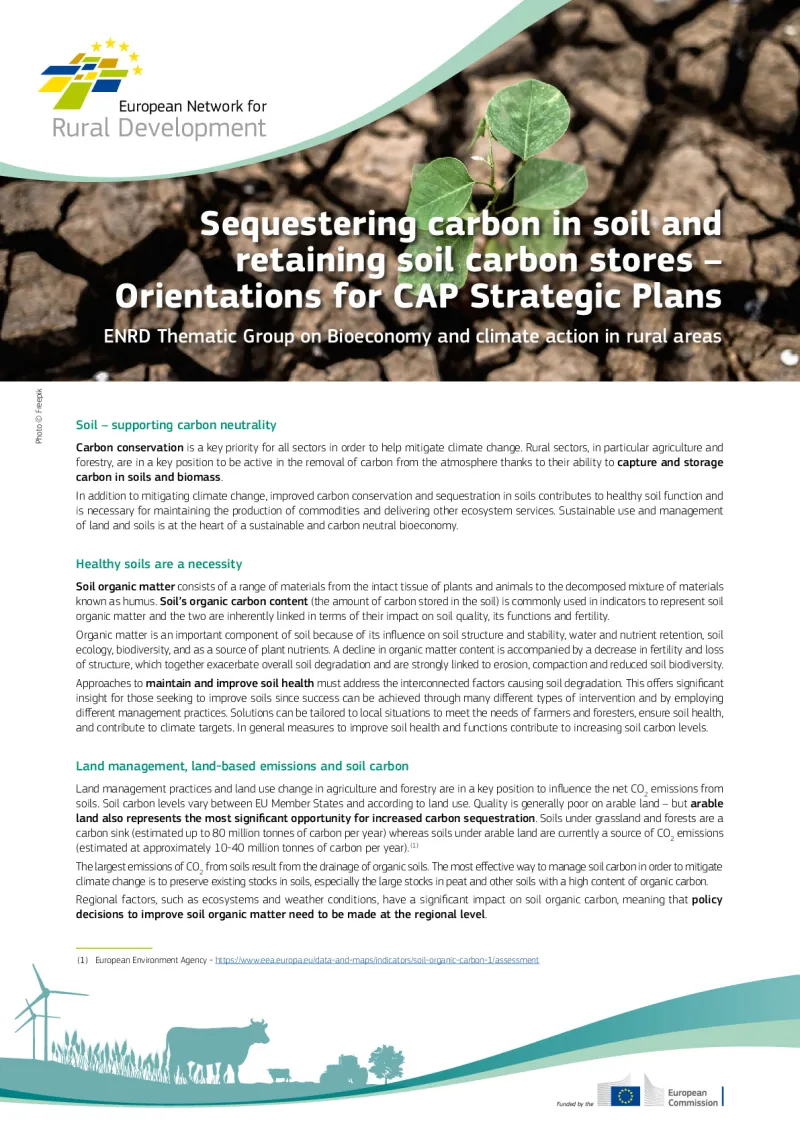 bioeconomy_briefing_soil-carbon-lessons-learnt-for-capsp.pdf