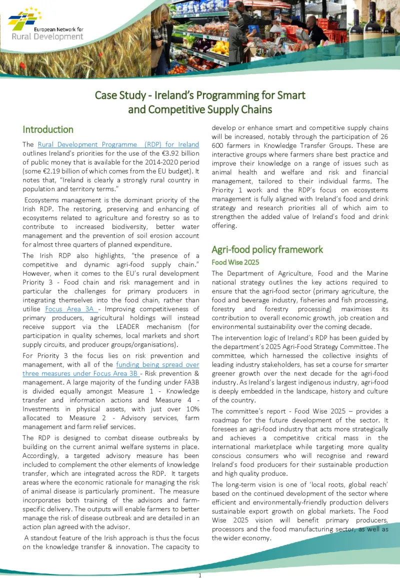 case-study_supply-chains_ireland_0.pdf
