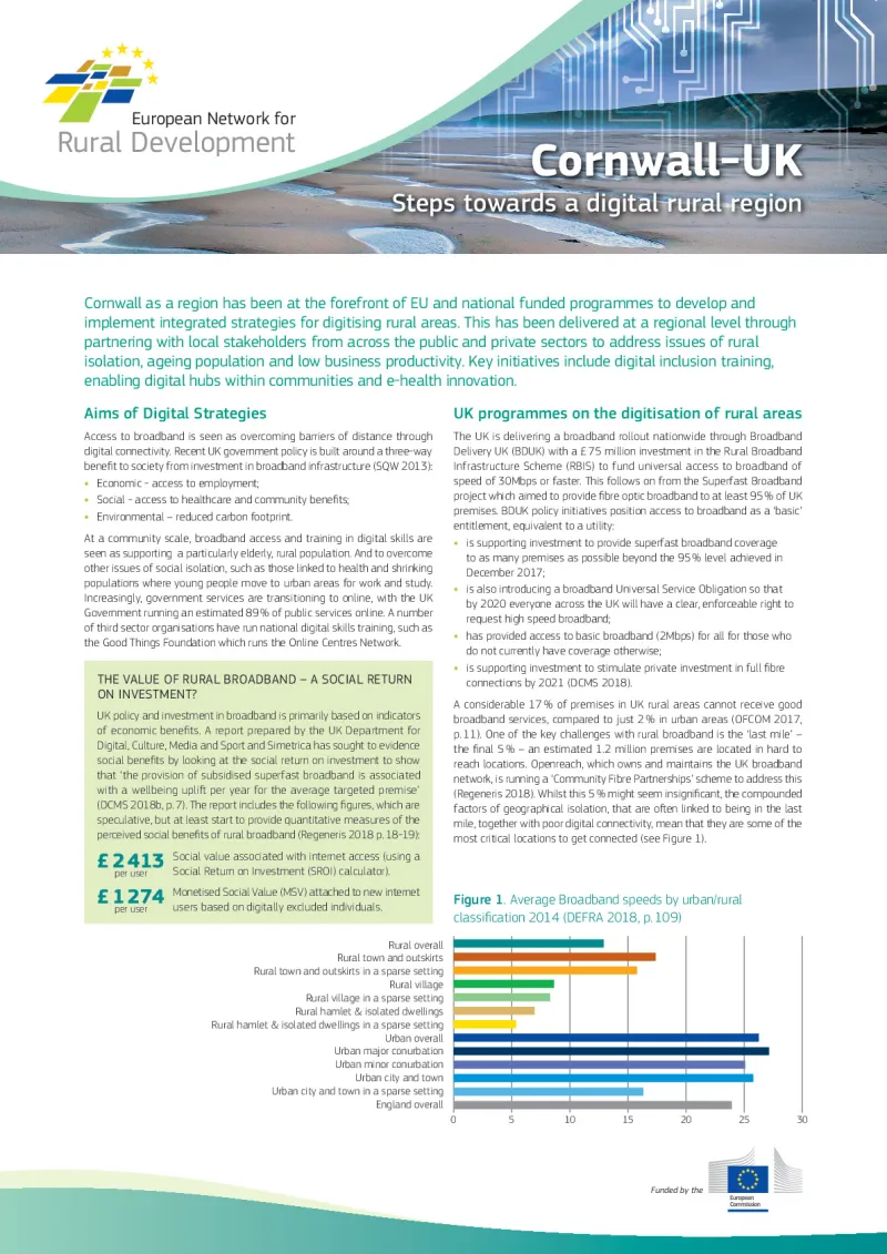 digital-strategies_case-study_uk_0.pdf
