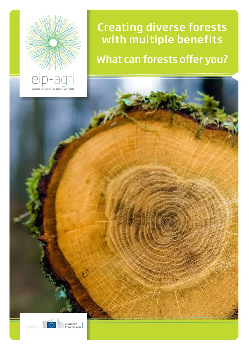 EIP-AGRI Brochure Forestry: English version