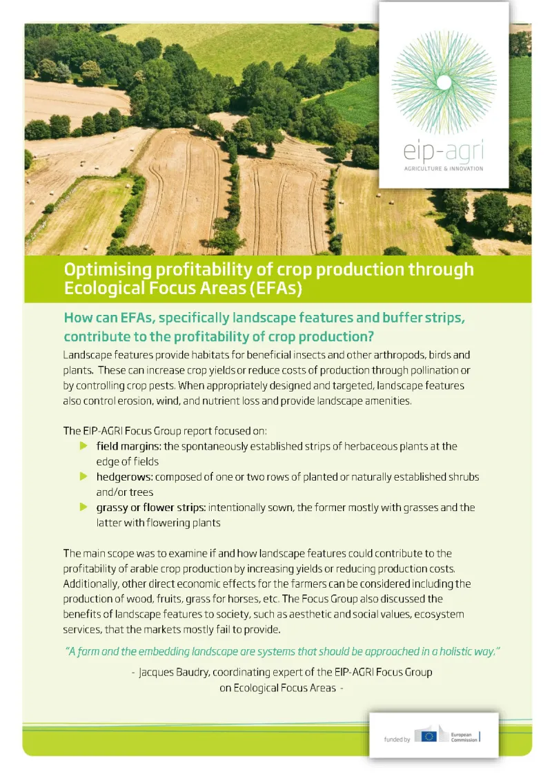 EIP-AGRI Factsheet Ecological Focus Areas: English version