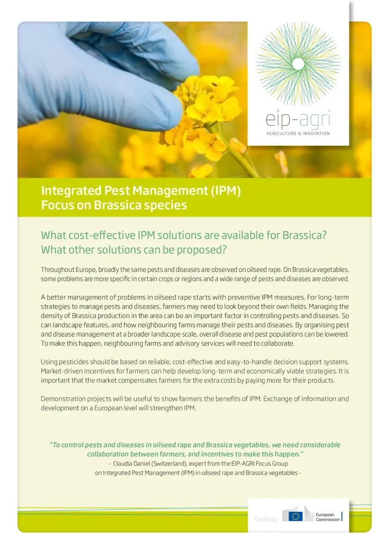 EIP-AGRI Factsheet IPM for Brassica: English version