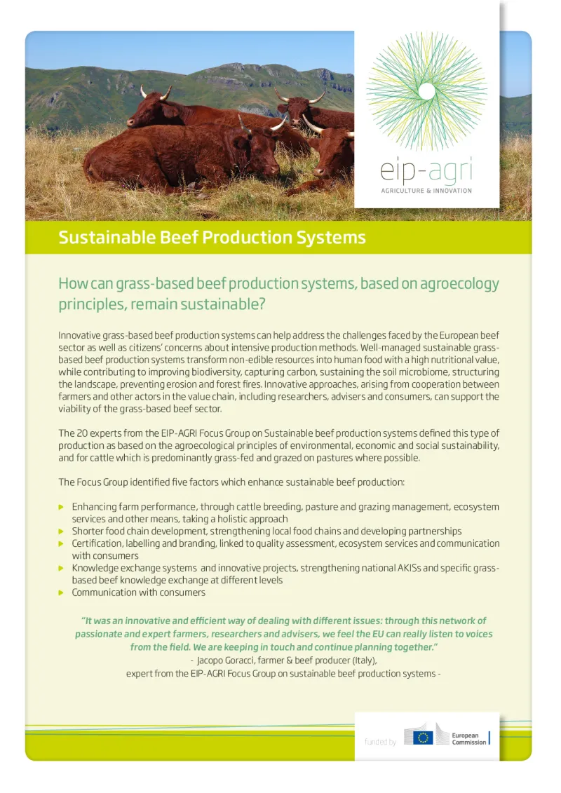 EIP-AGRI Factsheet on Sustainable Beef Production: English version