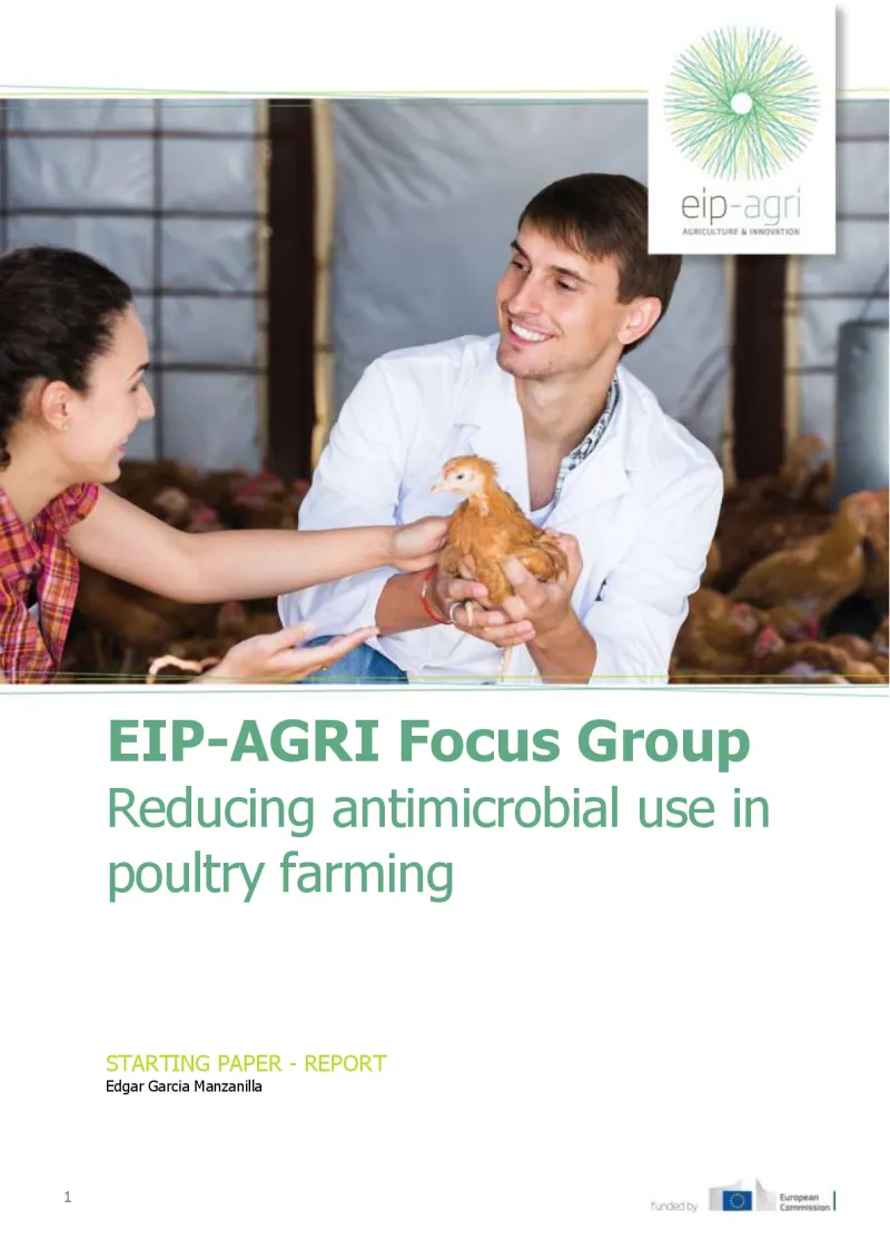 EIP-AGRI Focus Group Reducing antimicrobial use in poultry farming: Starting paper: English version