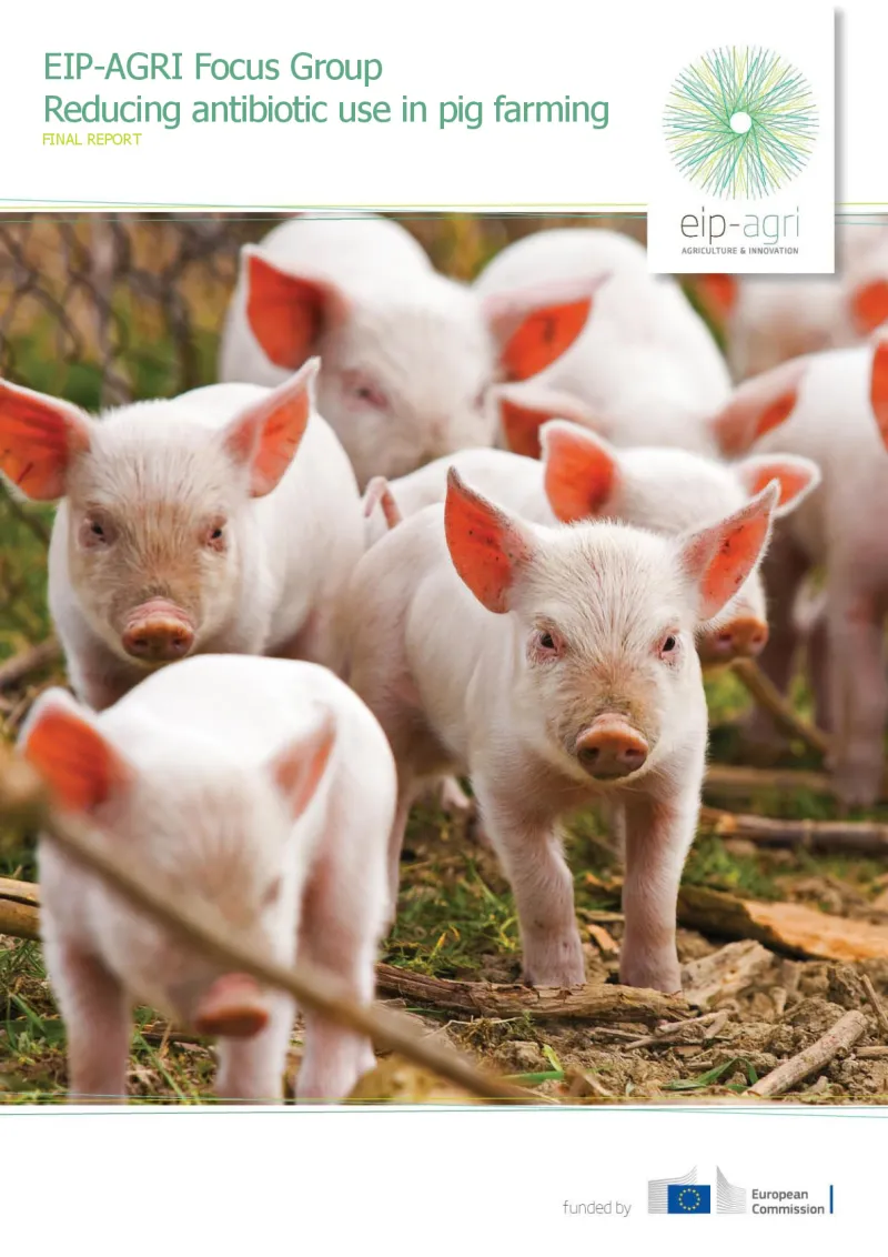Focus Group Reducing antibiotics: Final report (English version)