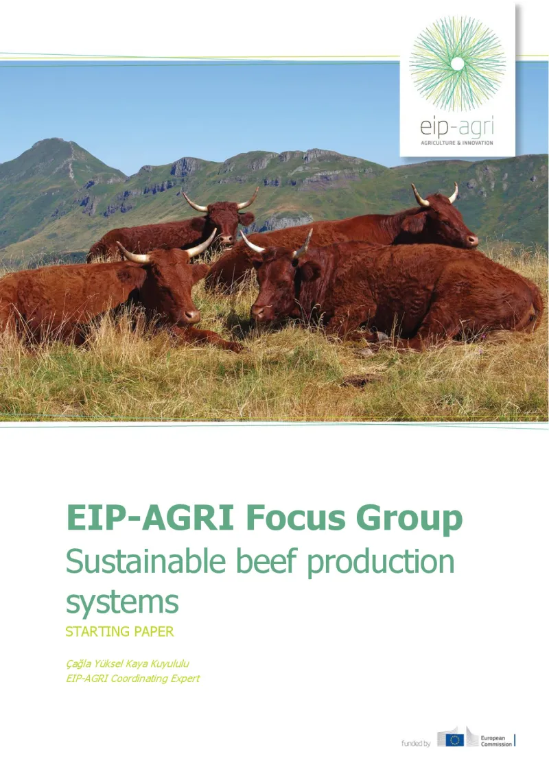 EIP-AGRI Focus Group Sustainable beef: Starting paper