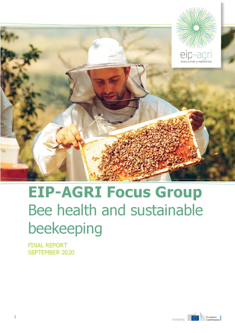 EIP-AGRI Focus Group Bee health and sustainable beekeeping: Final report: English version