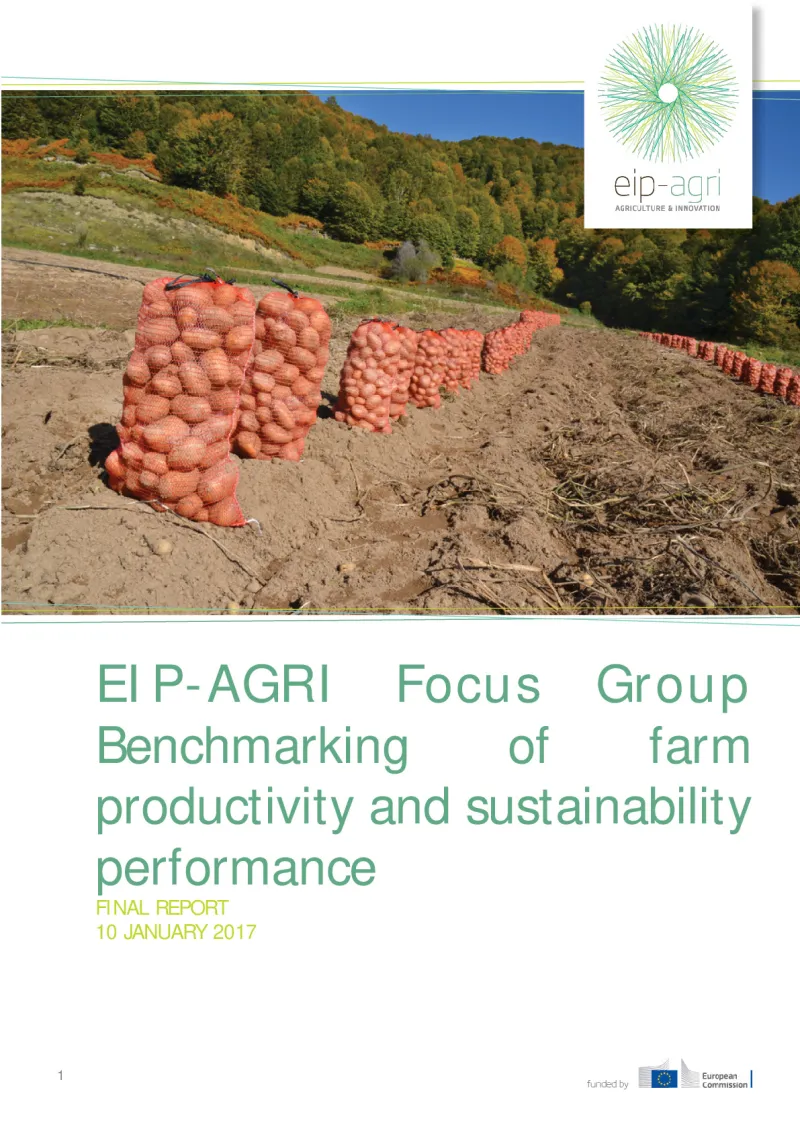 EIP-AGRI Focus Group on Benchmarking: Final report (English version)