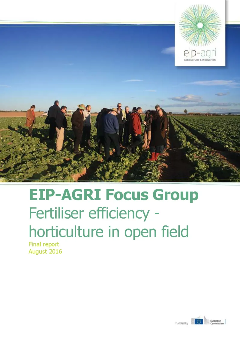 Focus Group Fertiliser Efficiency: Final report (English version)