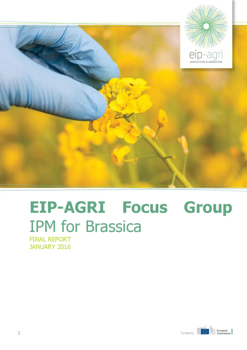 Focus Group IPM Brassica: Final report (English version)