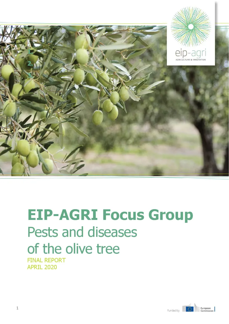 EIP-AGRI Focus Group Pests and diseases of the olive tree: Final report