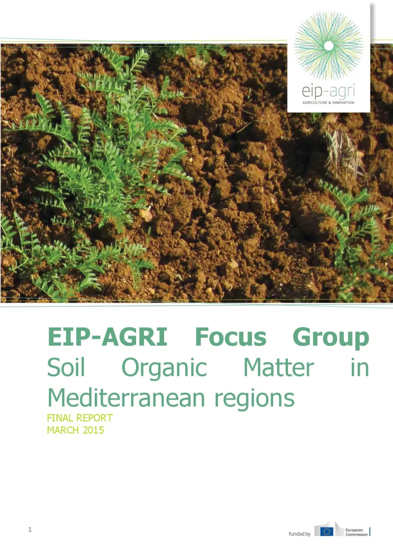 Focus Group Soil Organic Matter: Final report (English version)
