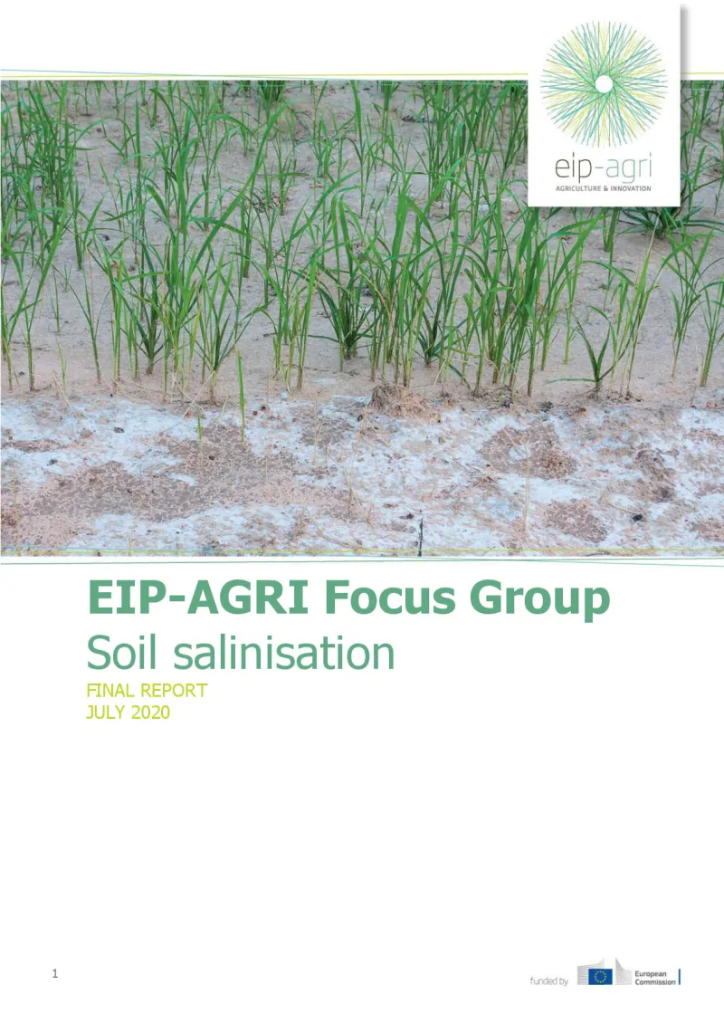 EIP-AGRI Focus Group Soil salinisation: Final report: English version