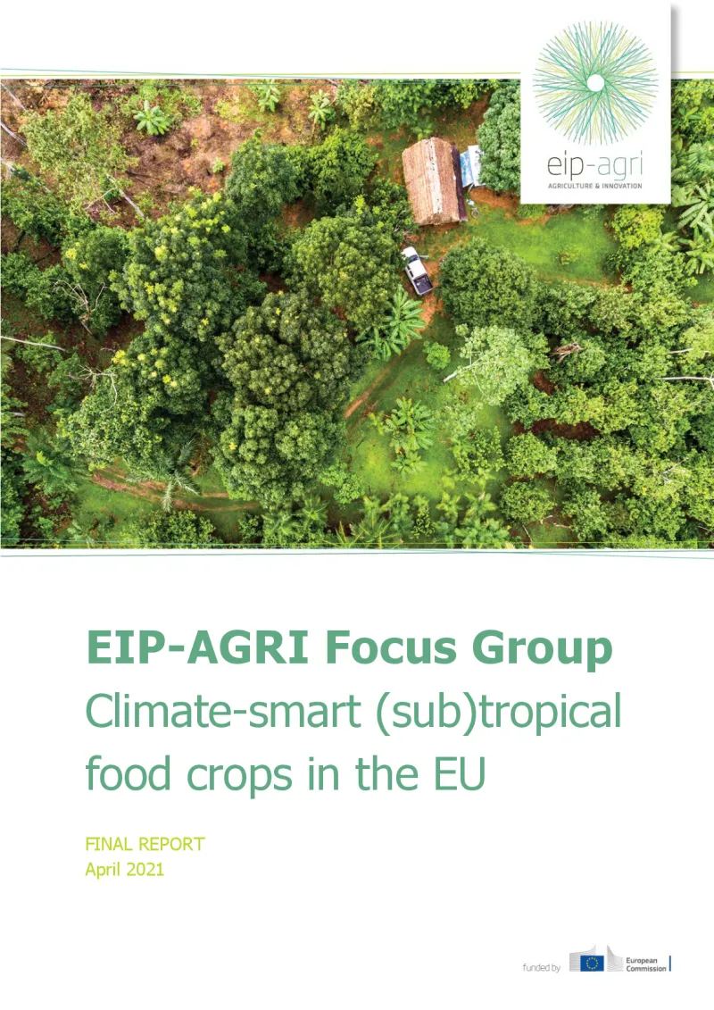 EIP-AGRI Focus Group Tropical crops: Final report