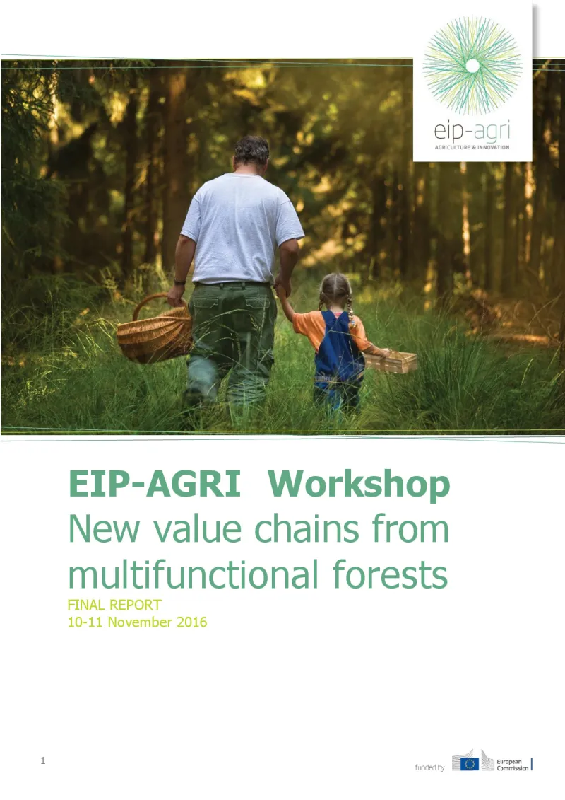 EIP-AGRI Workshop Forest value chains: Final report (English version)