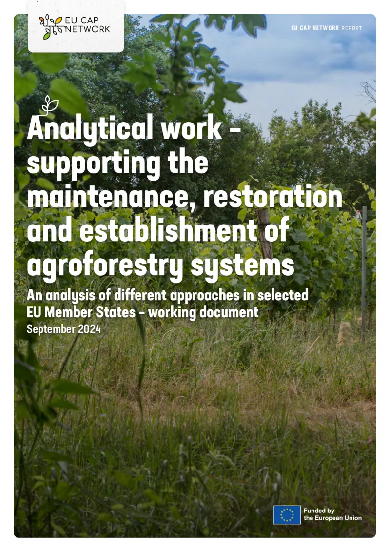 Analytical work – supporting the maintenance, restoration and establishment of agroforestry systems