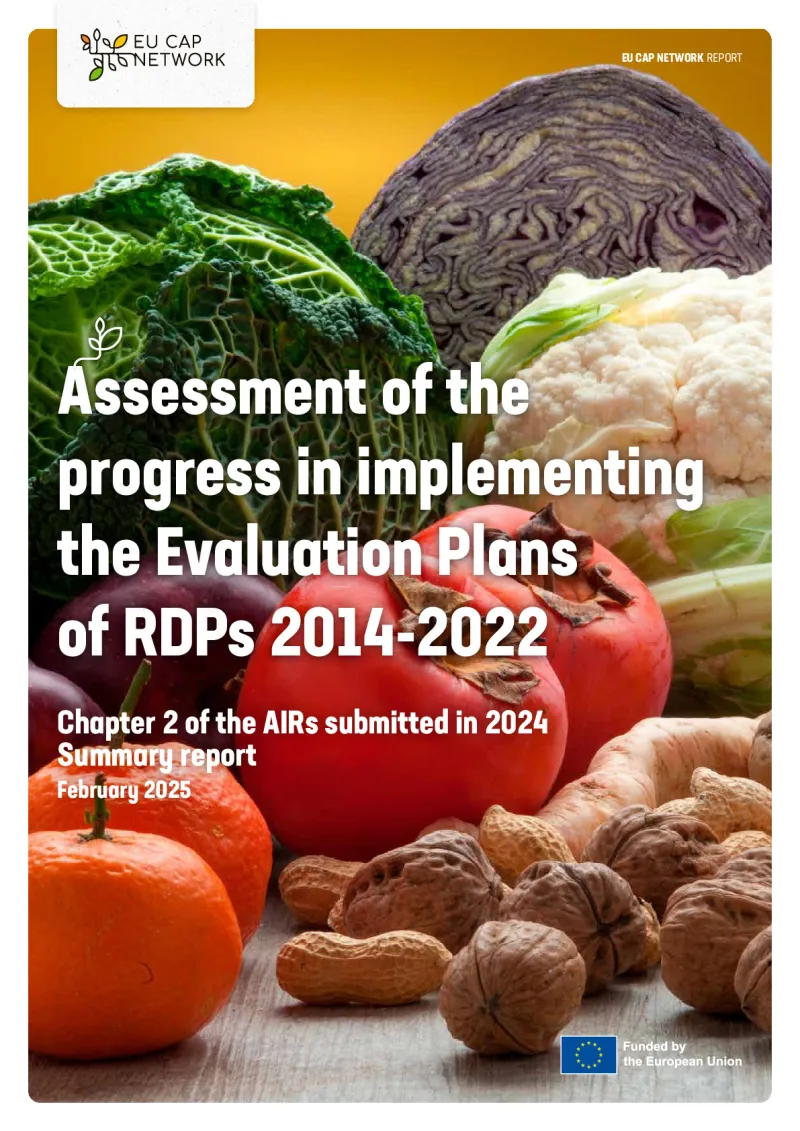 Assessment of the progress in implementing the Evaluation Plans of RDPs 2014-2022