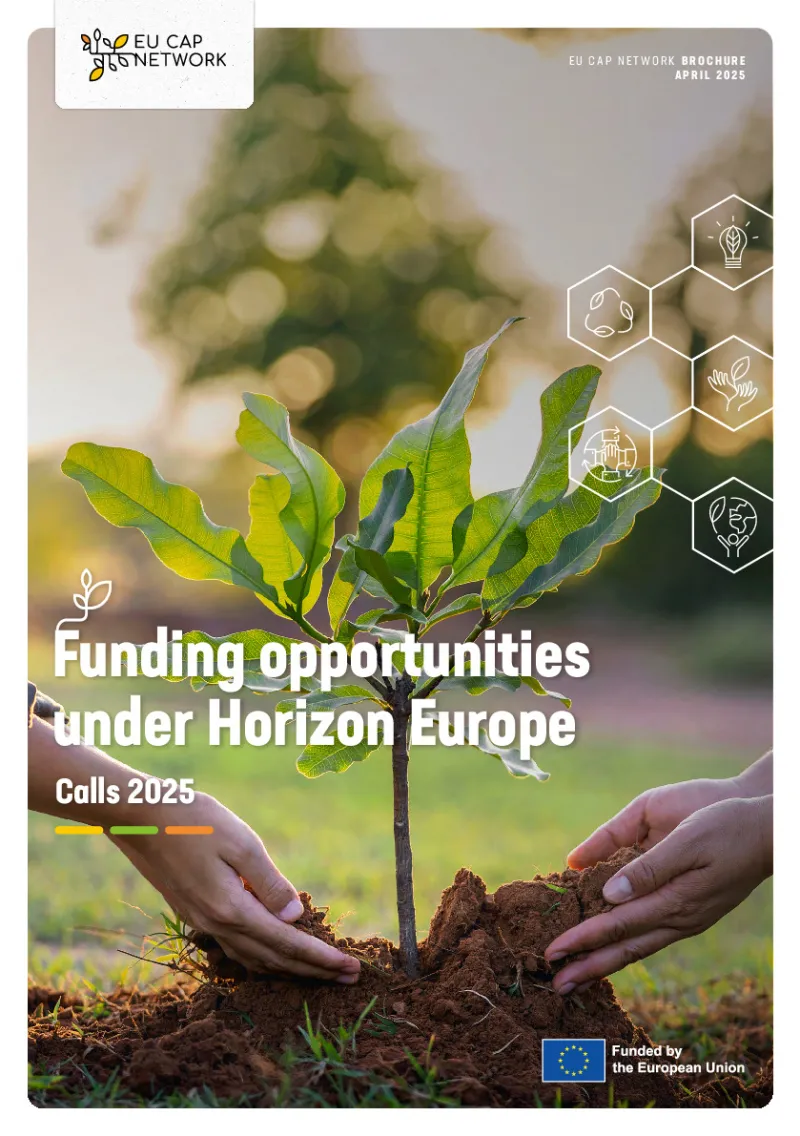Brochure - Funding opportunities under Horizon Europe