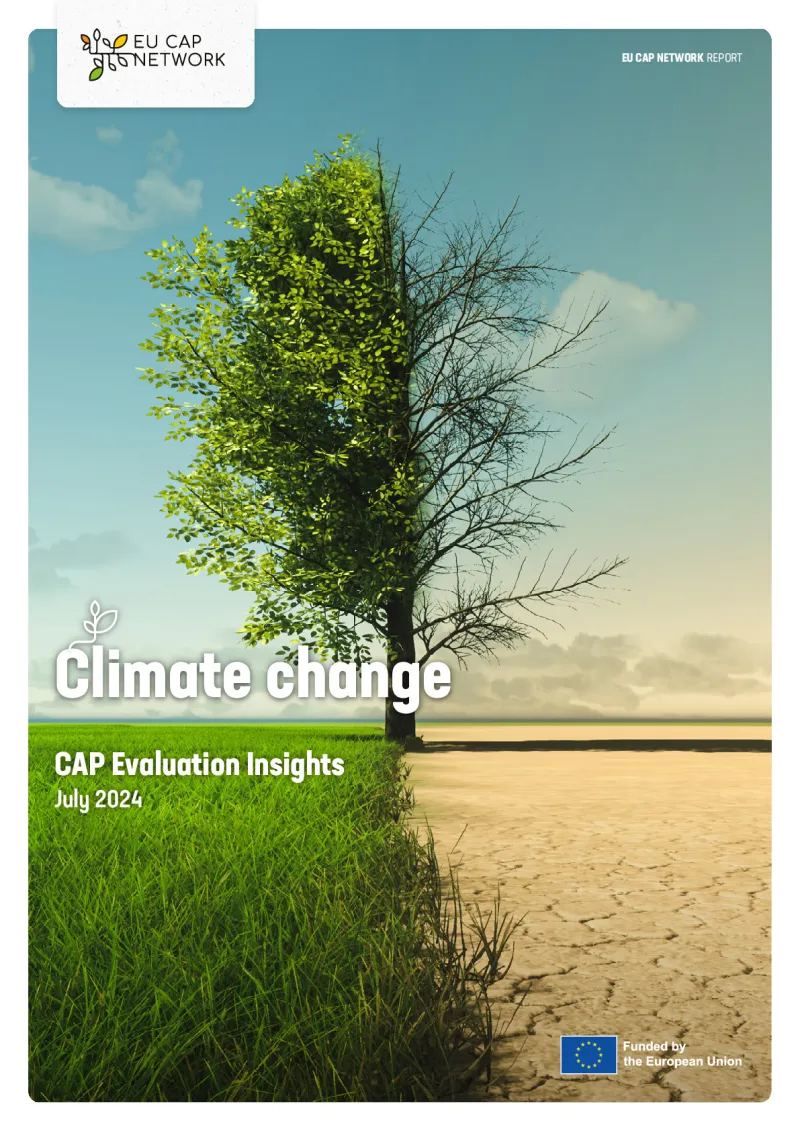 CAP Evaluation Insights: climate change