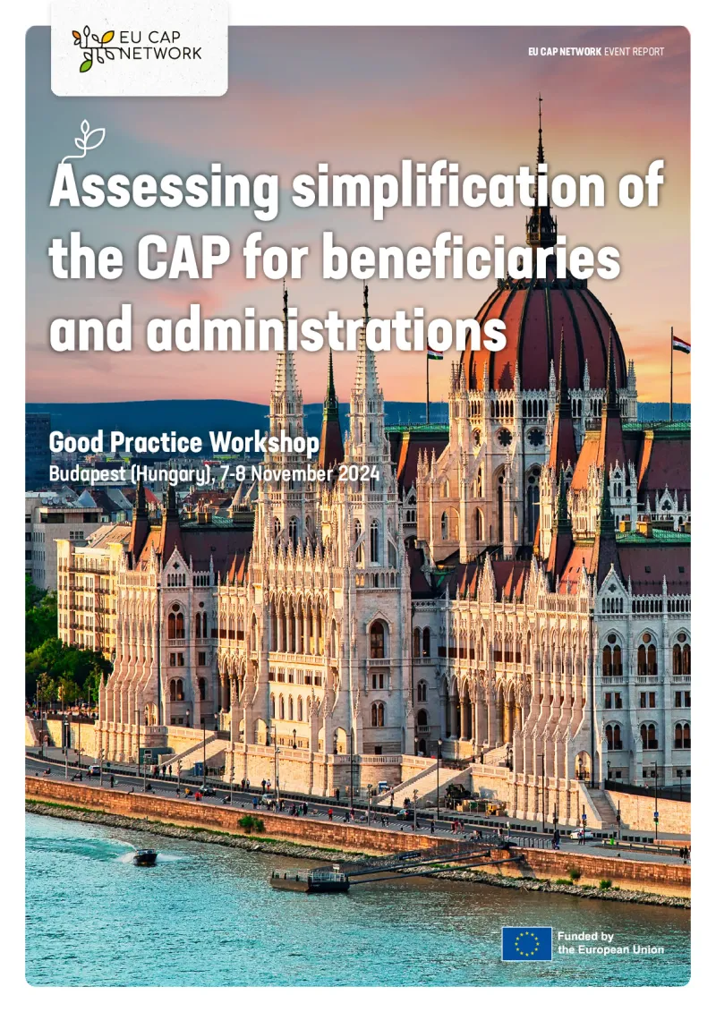 Report - Assessing simplification of the CAP for beneficiaries and administrations