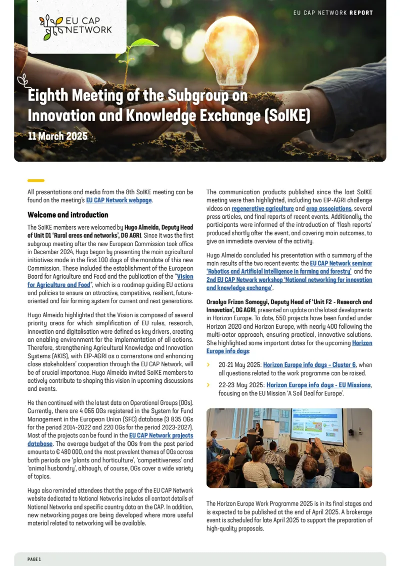 Report - Eighth Meeting of the Subgroup on Innovation and Knowledge Exchange (SoIKE)